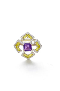 Delnaz Ring